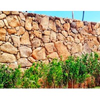PEDRA BOLÃO